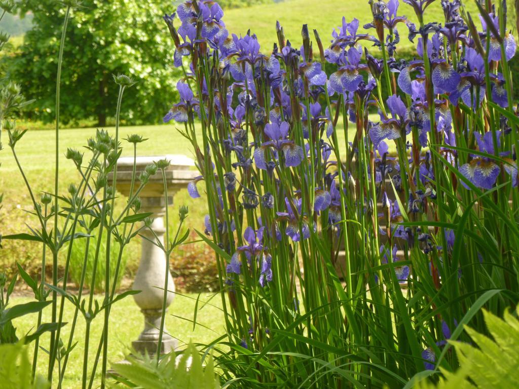 Llwyn Helyg Country House Guest House คาร์มาเทน ภายนอก รูปภาพ